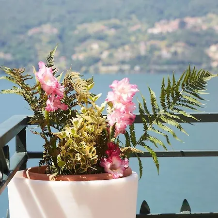 Casa Romantica -terrace 40sqm, Wonderful View Daire Dervio