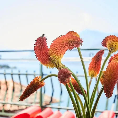 Casa Romantica -terrace 40sqm, Wonderful View Dervio